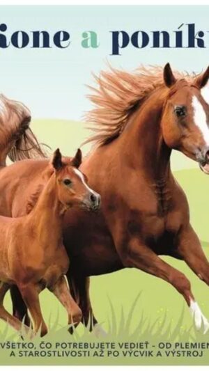 Kone a poníky