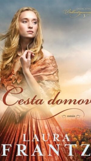 Cesta domov