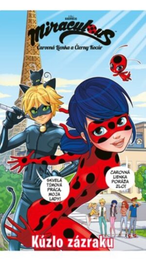 Čarovná lienka a čierny kocúr, časť 1. Kúzlo zázraku