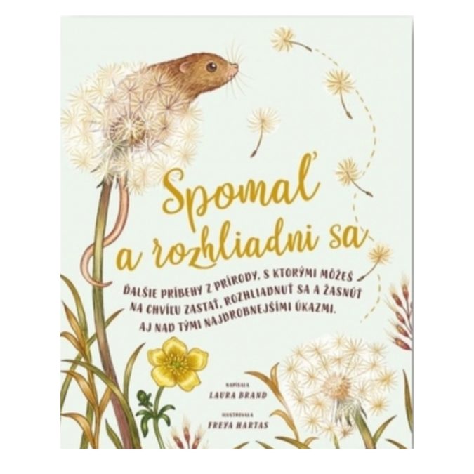 Spomaľ a rozhliadni sa