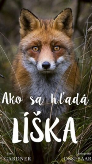 Ako sa hľadá líška