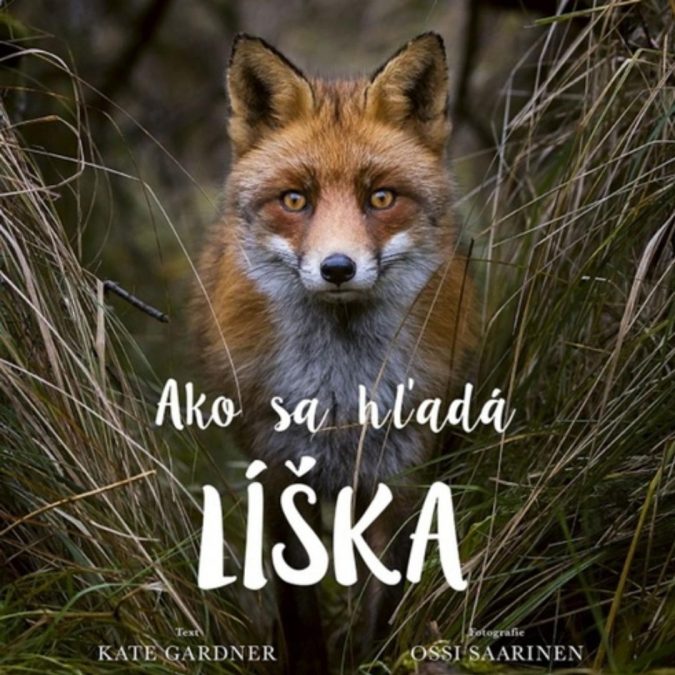 Ako sa hľadá líška