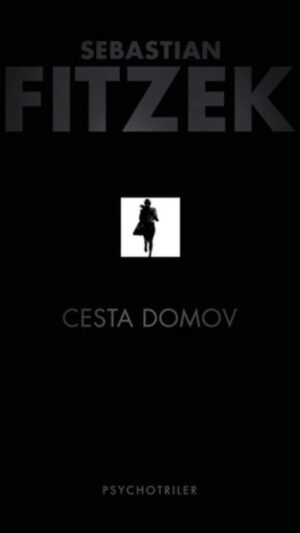 Cesta domov