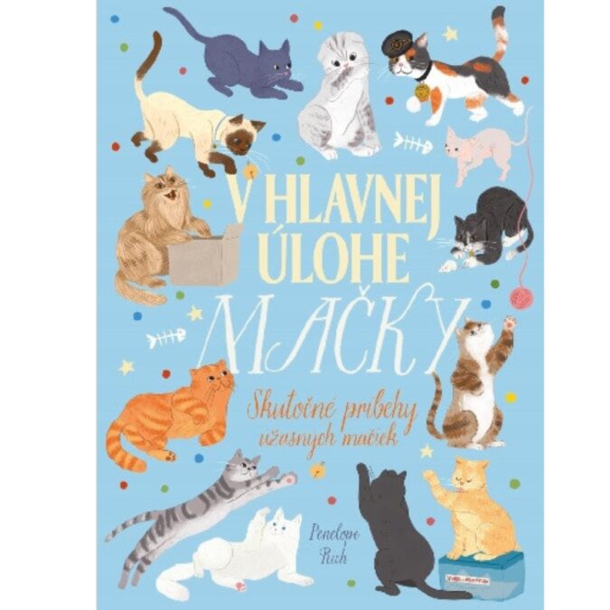 V hlavnej úlohe mačky