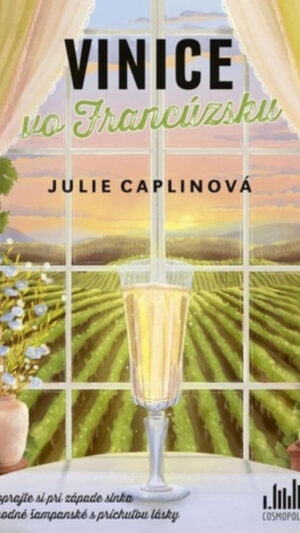 Vinice vo Francúzsku