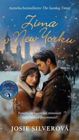 Zima v New Yorku