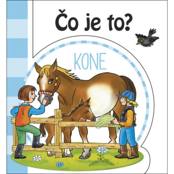 Čo je to? : kone