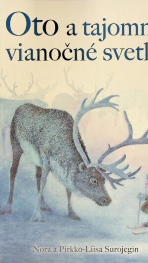 Oto a tajomné vianočné svetlo