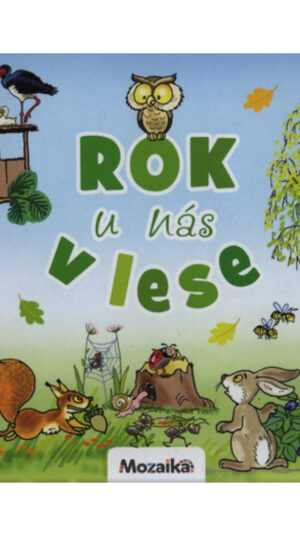 Rok u nás v lese