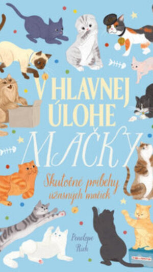 V hlavnej úlohe mačky