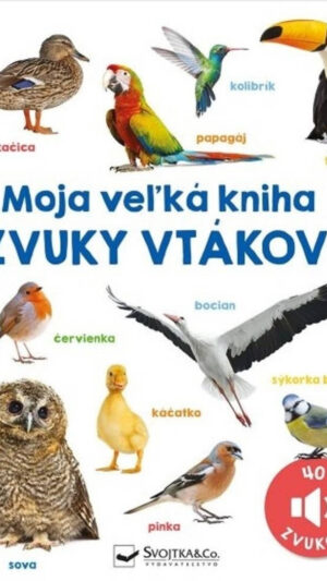 Moja veľká kniha : zvuky vtákov