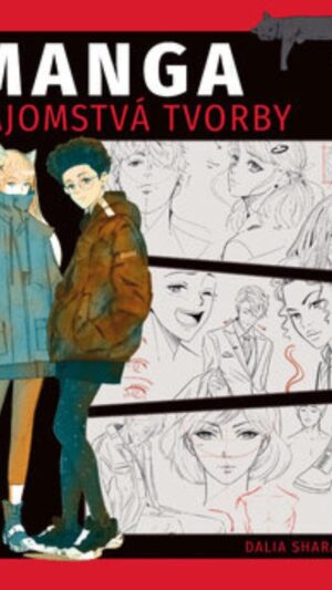 Manga : tajomstvá tvorby